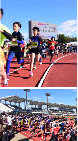 刈谷市かきつばたマラソン大会